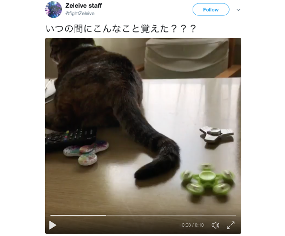 Japanese cat masters a fidget hand spinner without even lifting a paw
