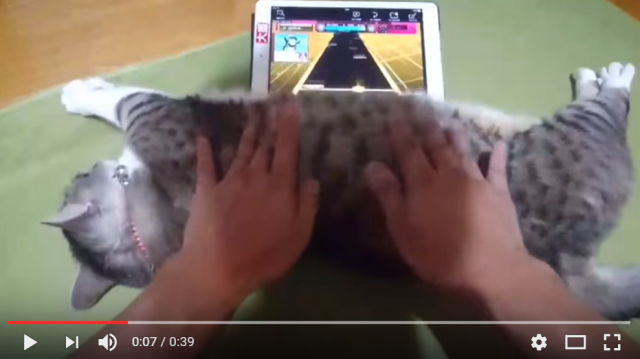 If you’re good at rhythm games, you might also be an expert at petting cats【Video】