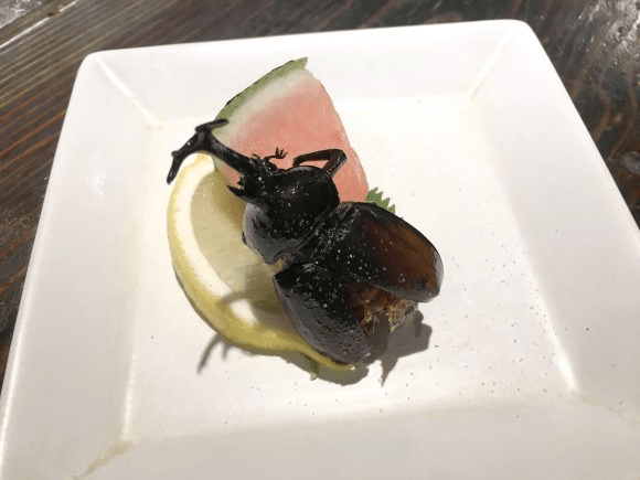 Yokohama restaurant serves fried axolotl, along with giant isopod, camel,  and crocodile