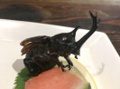 Do you have the stomach for this? Japanese restaurant serves axolotl,  isopods and piranhas, Food News - AsiaOne