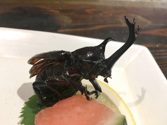 We straight-up eat a beetle at possibly Japan’s craziest restaurant