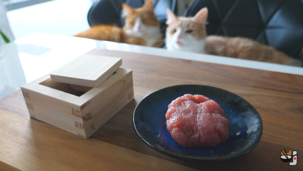 How to make “sushi” for your cats!【Video】 | SoraNews24 —Japan News—