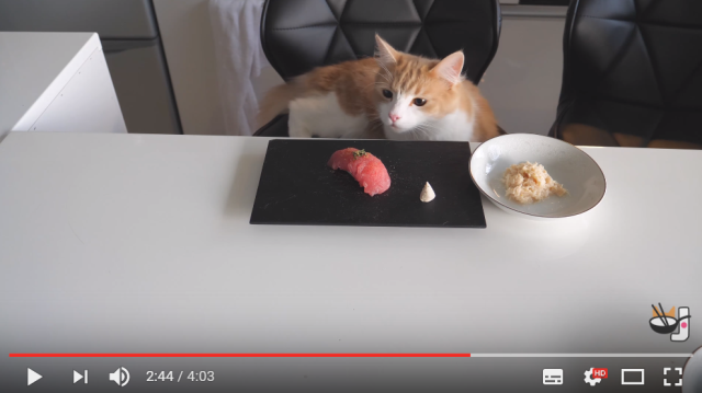 How to make “sushi” for your cats!【Video】