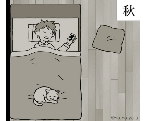 Feeling the seasons through cats” manga warms the heart by showing how pet  kitty warms itself