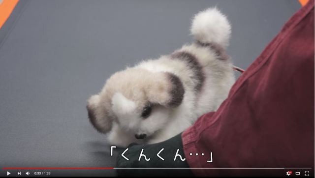 Kyushu company develops robot dog that faints if your feet smell too bad