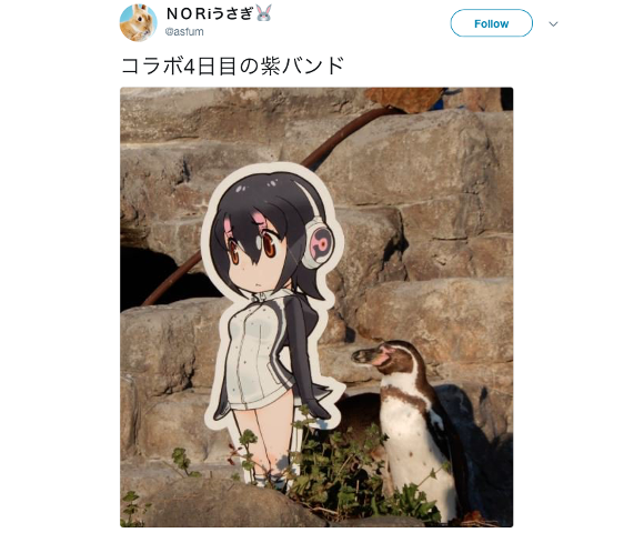 Japan’s anime-loving penguin Grape-kun passes away at Tobu Zoo