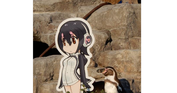 Japan's anime-loving penguin Grape-kun passes away at Tobu Zoo | SoraNews24  -Japan News-