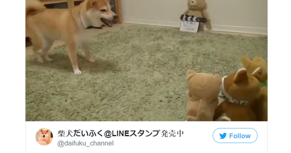 Shiba inu deals mimic toy