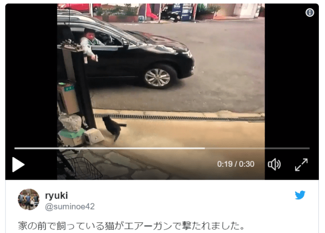Man in Osaka lures housecat into street with food before shooting at it with BB gun【Video】