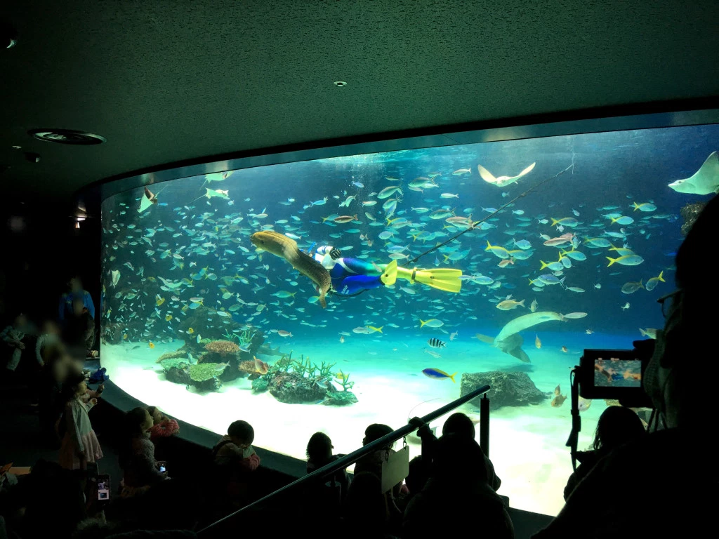 Over 1,000 fish and other marine creatures die at Tokyo aquarium after ...