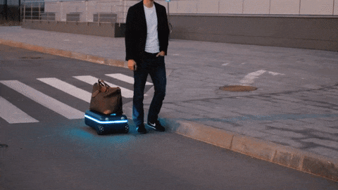 Hands-free holidaying: Robotic suitcases that follow you around unveiled【Video】