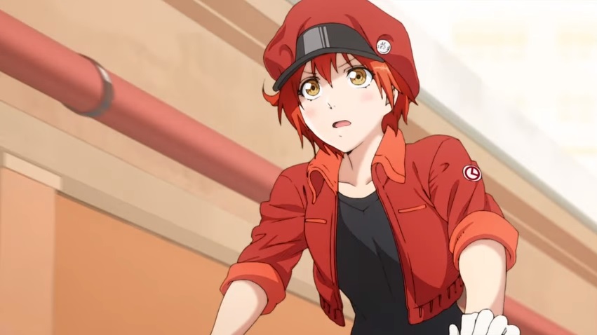 6 Cells At Work Life Lessons The Anime Will Teach You