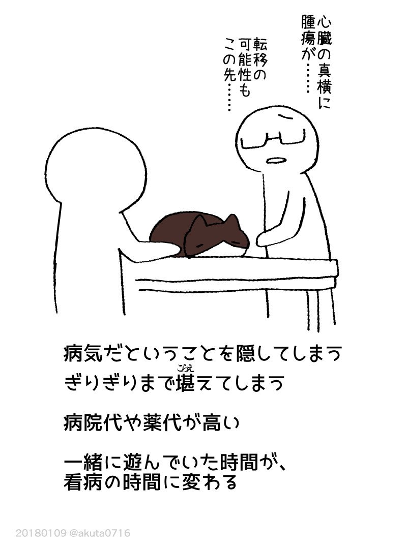 Touching Twitter manga shows how all the bad things about having a cat