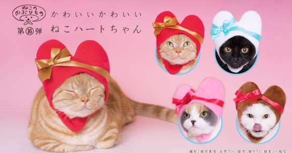 Cute Cats Japan ?w=580&h=305&crop=1