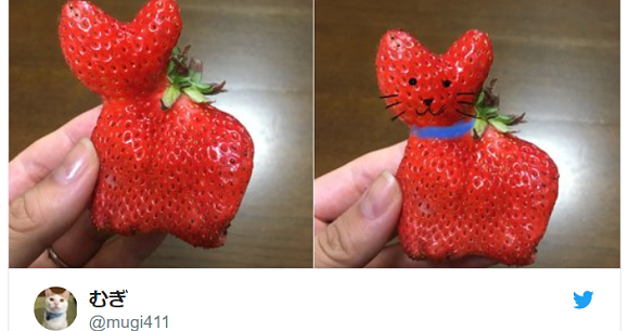 jelly cat strawberry