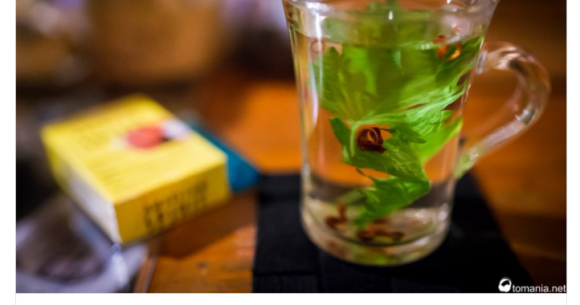 Goldfish Style The Elegant Way To Drink Shochu In Japan Soranews24 Japan News