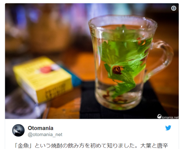 Goldfish style: The elegant way to drink shochu in Japan