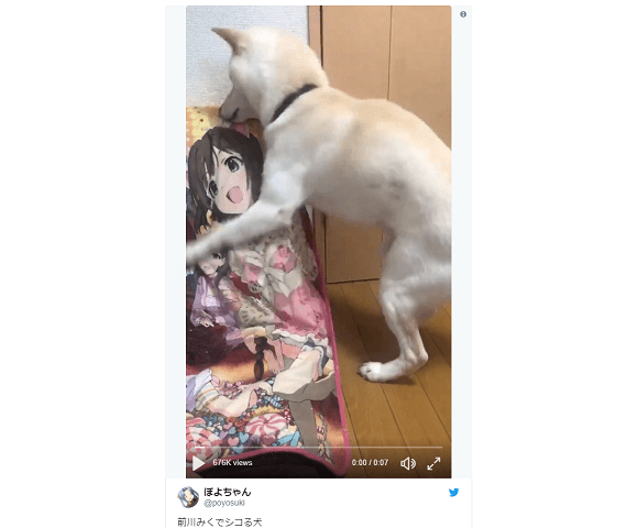 Lusty Japanese dog shows it knows exactly what anime “huggy” pillows are really for【Video】