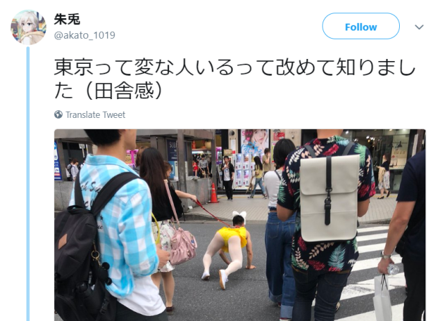 Man in leotard being walked like a dog reminds Twitter that “There are some weird dudes in Tokyo”