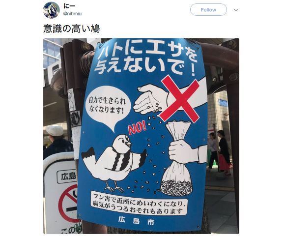 “No seeds, please.” Pigeons in Japanese anti-birdfeed posters show startling self-awareness