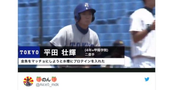 Here S An Important Message About Macho Goldfish From University Baseball In Japan Soranews24 Japan News