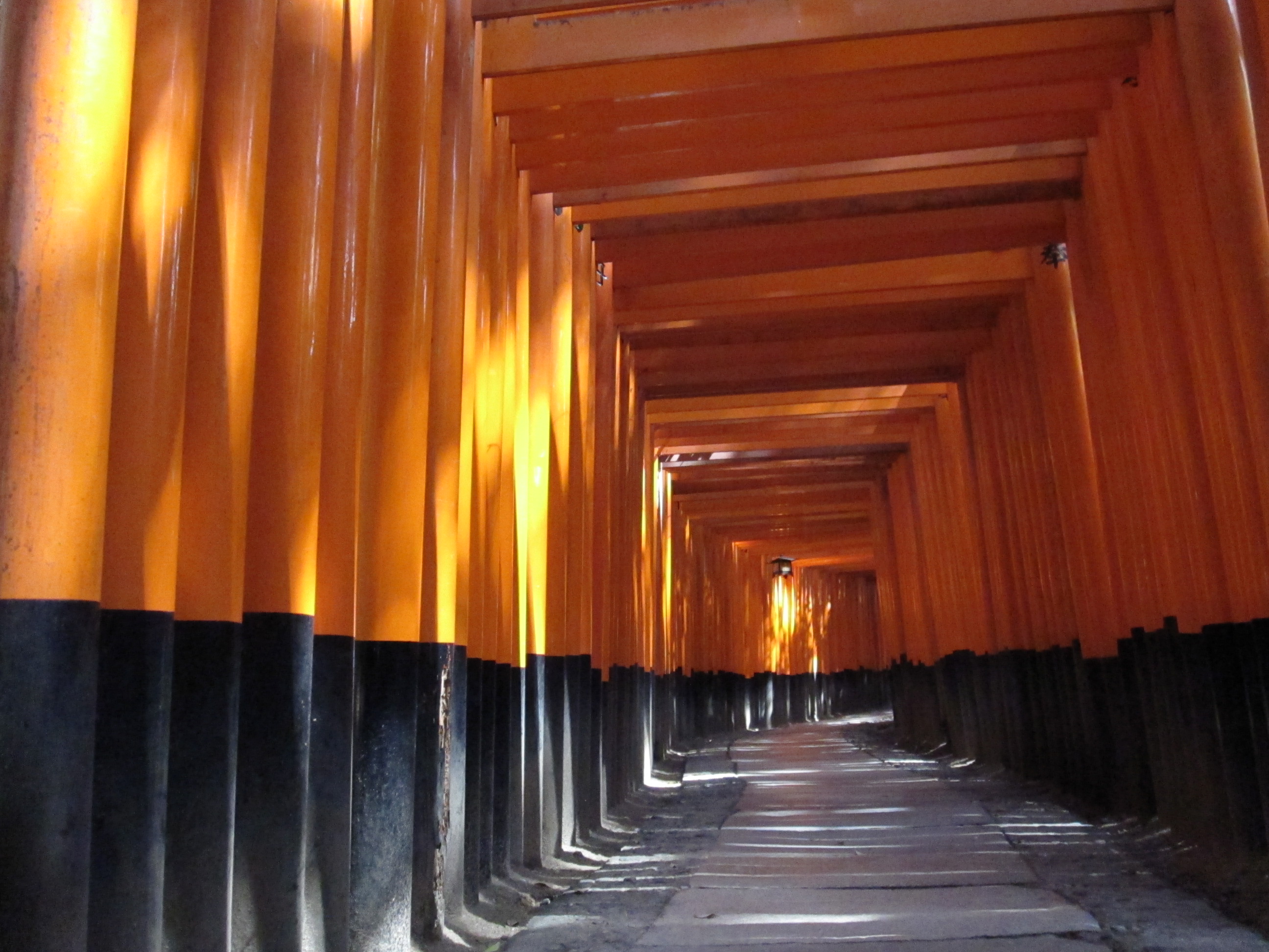 Ghost Photo” Shows Kyotos Breathtaking Fushimi Inari Shrine Can Be