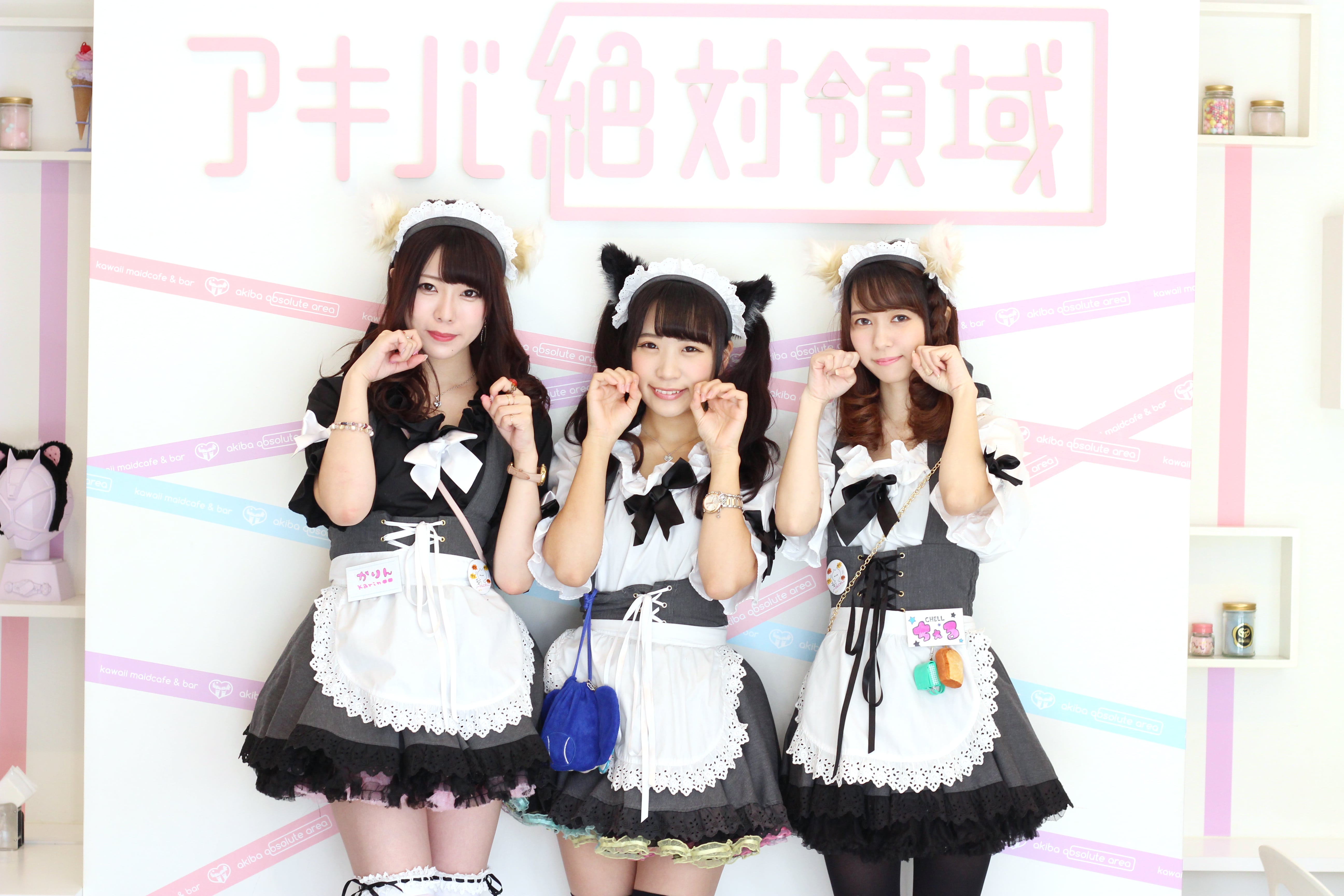 Japan S Most Popular Maid Cafe Akiba Zettai Ryoiki Opens New “maid Cafe Winery” In Akihabara