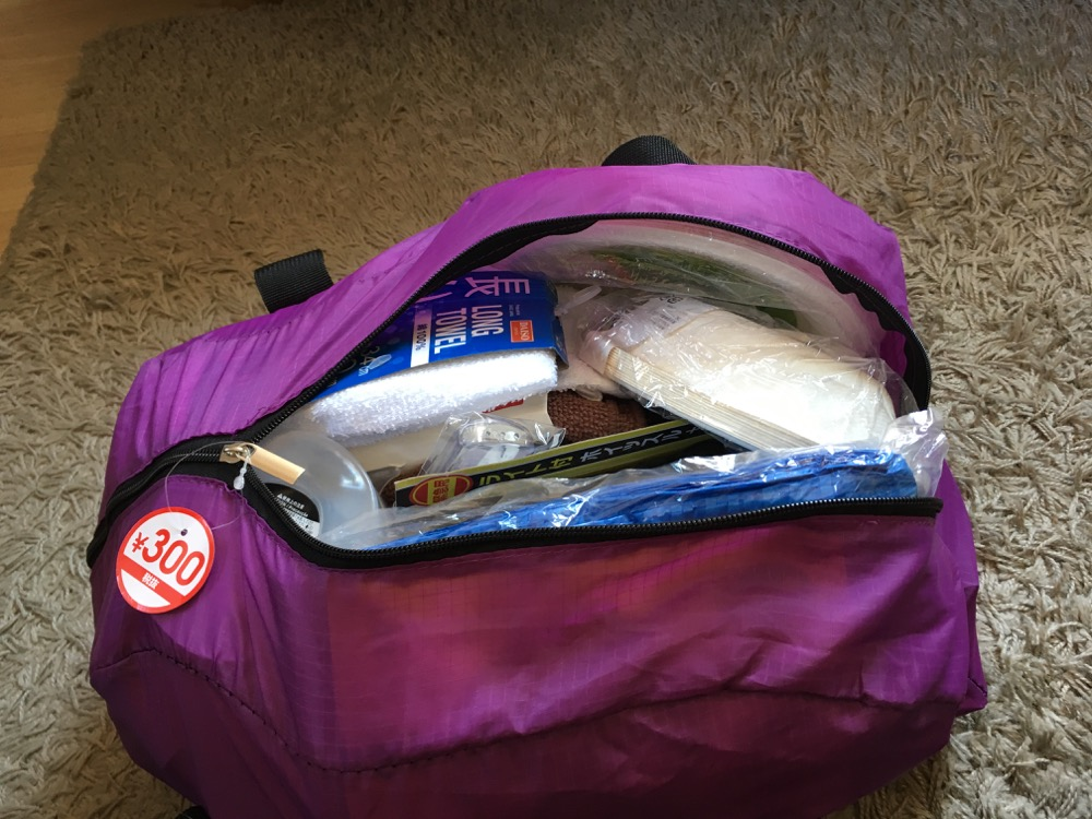 How to put together an earthquake/typhoon preparedness kit at the 100