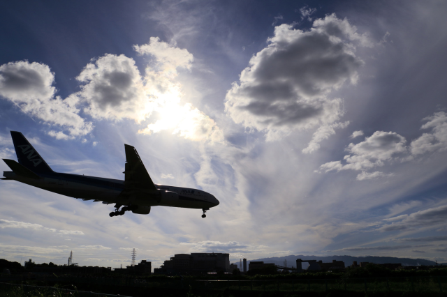 American traveler caught peeing on sleeping Japanese businessman during flight to Tokyo