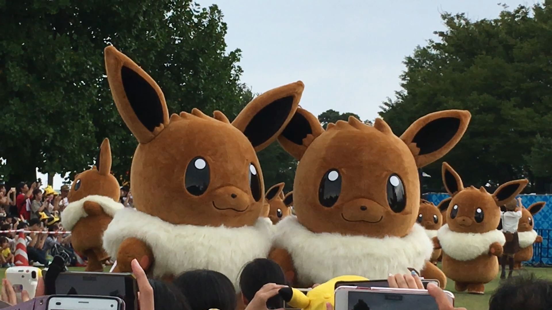 First-ever Eevee outbreak is going on in Japan right now, and it’s awesomel...