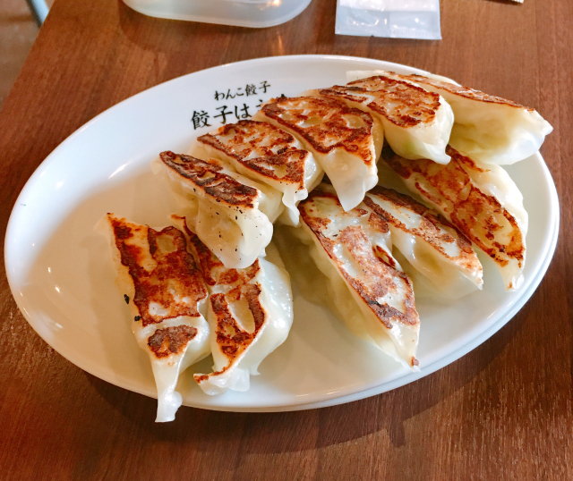 Mr. Sato visits newly opened gyoza restaurant, stuffs himself full of delectable dumplings