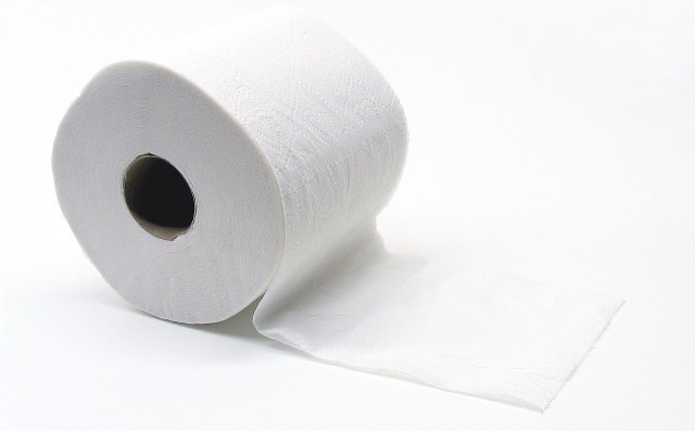 Nagoya City Council debates: Is toilet paper really needed in public restrooms?