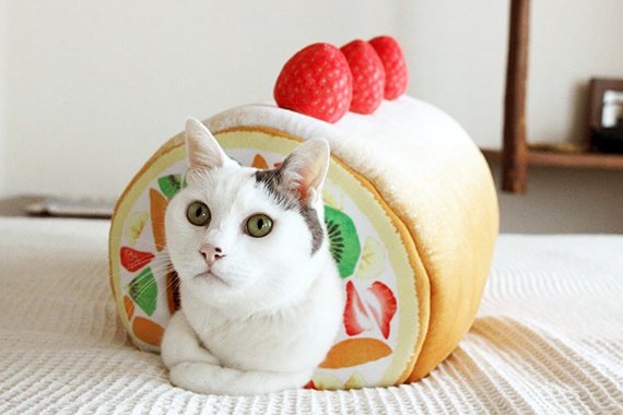 Fruit tart hotsell cat bed uk