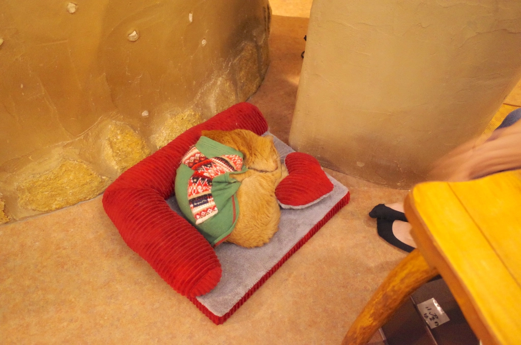 A visit to a cat theater in Tokyo as cat cafe holds movie night【Photos