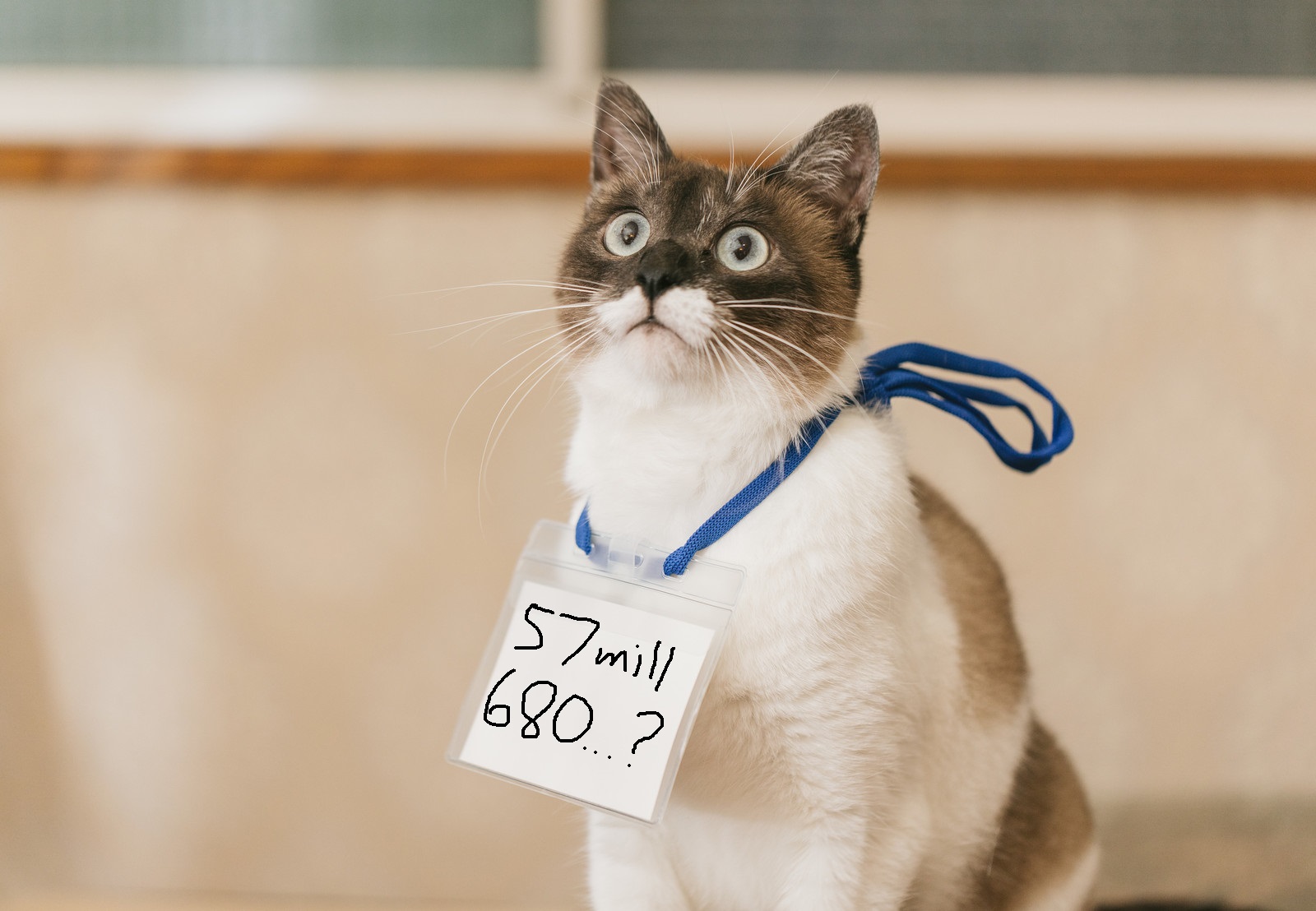 10,000 or 1,0000? Japanese schools are starting to move commas on big