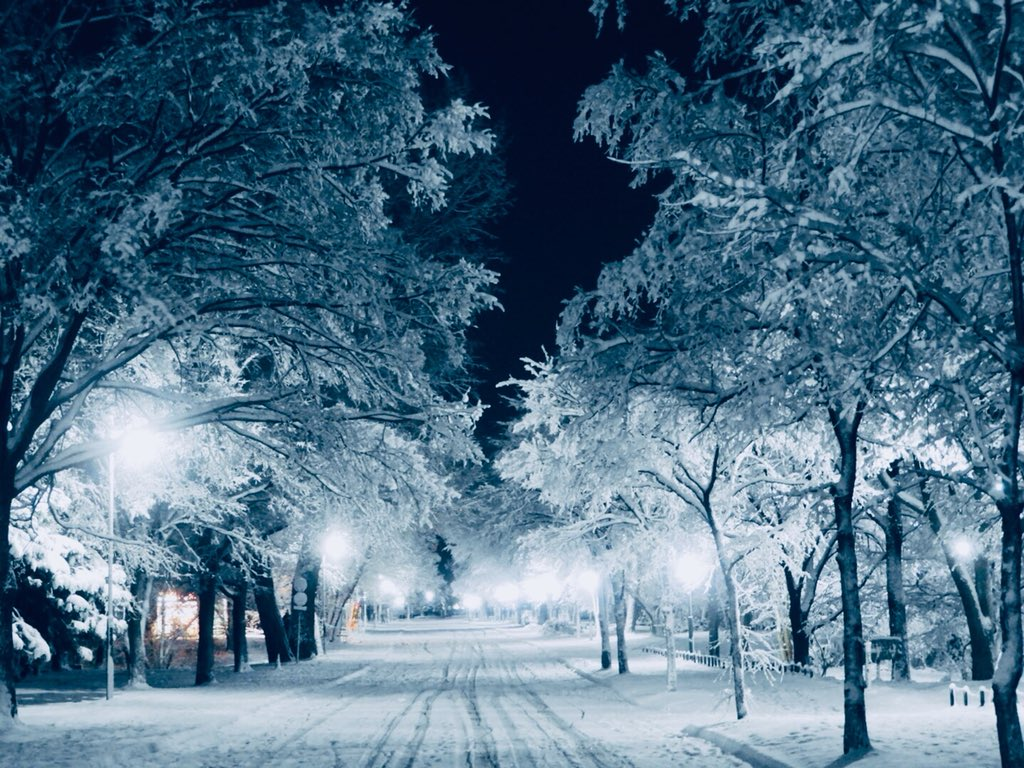 Amazing winter photos of university on Japan’s northern island make us ...