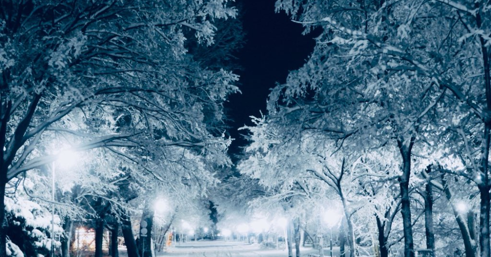 Amazing winter photos of university on Japan’s northern island make us ...