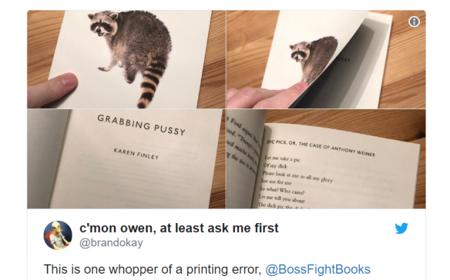 Super Mario history book accidentally ships with “Grabbing Pussy” poetry collection inside