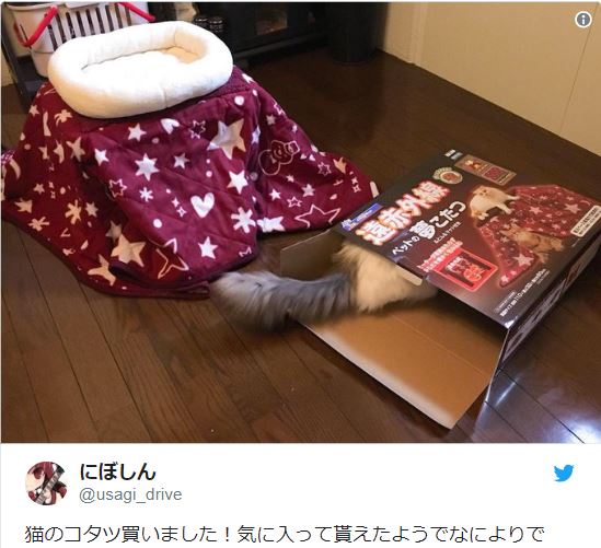 Pet owner’s saga of buying a kotatsu for her cat doesn’t go as planned (or does it?)