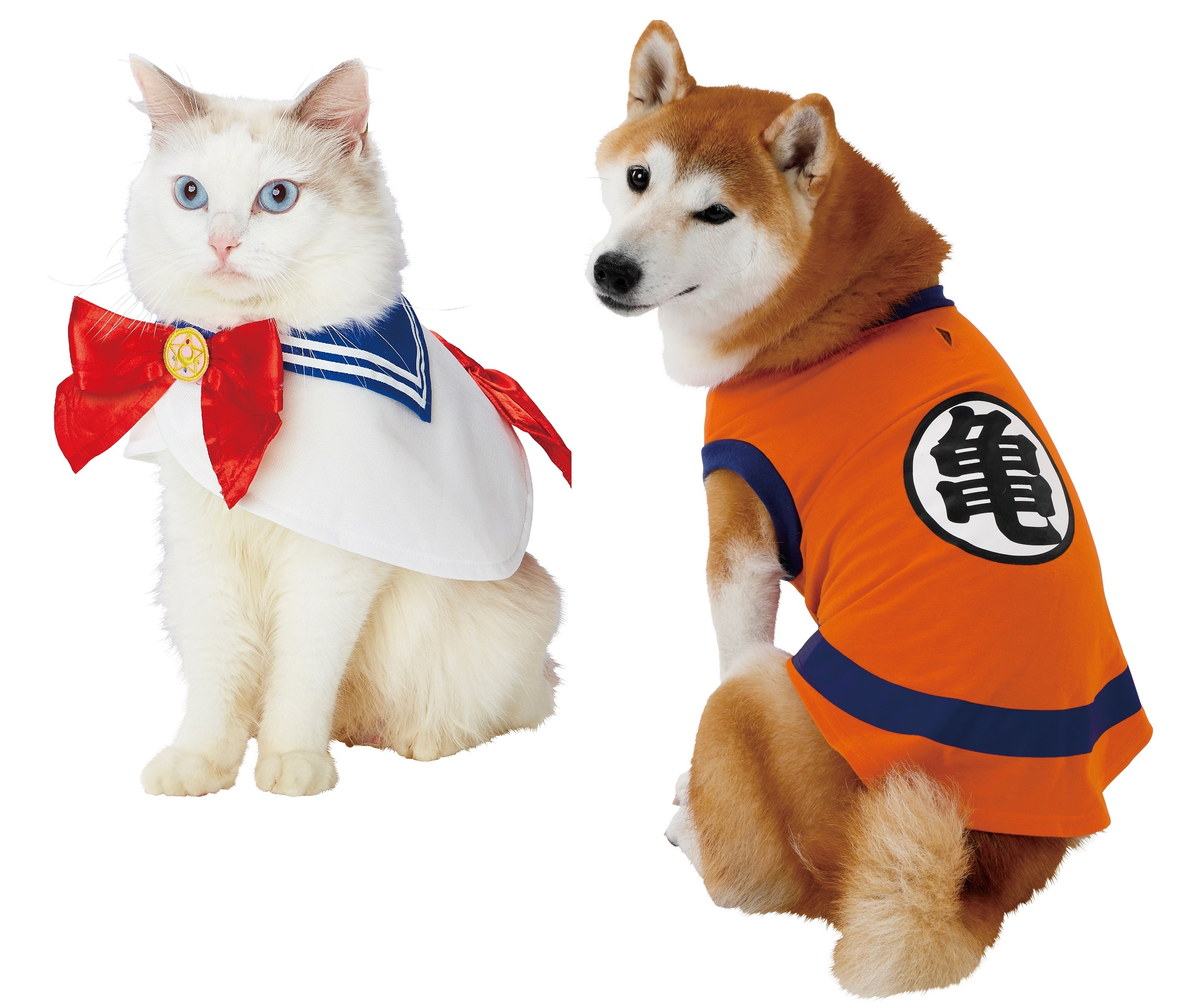 Costumes for Cats