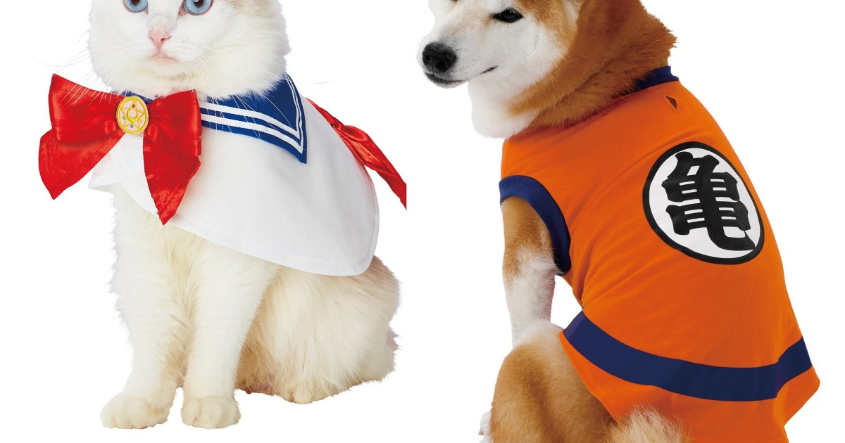 Official Sailor Moon and Dragon Ball cosplay outfits from Japan turn your  pet into an anime hero