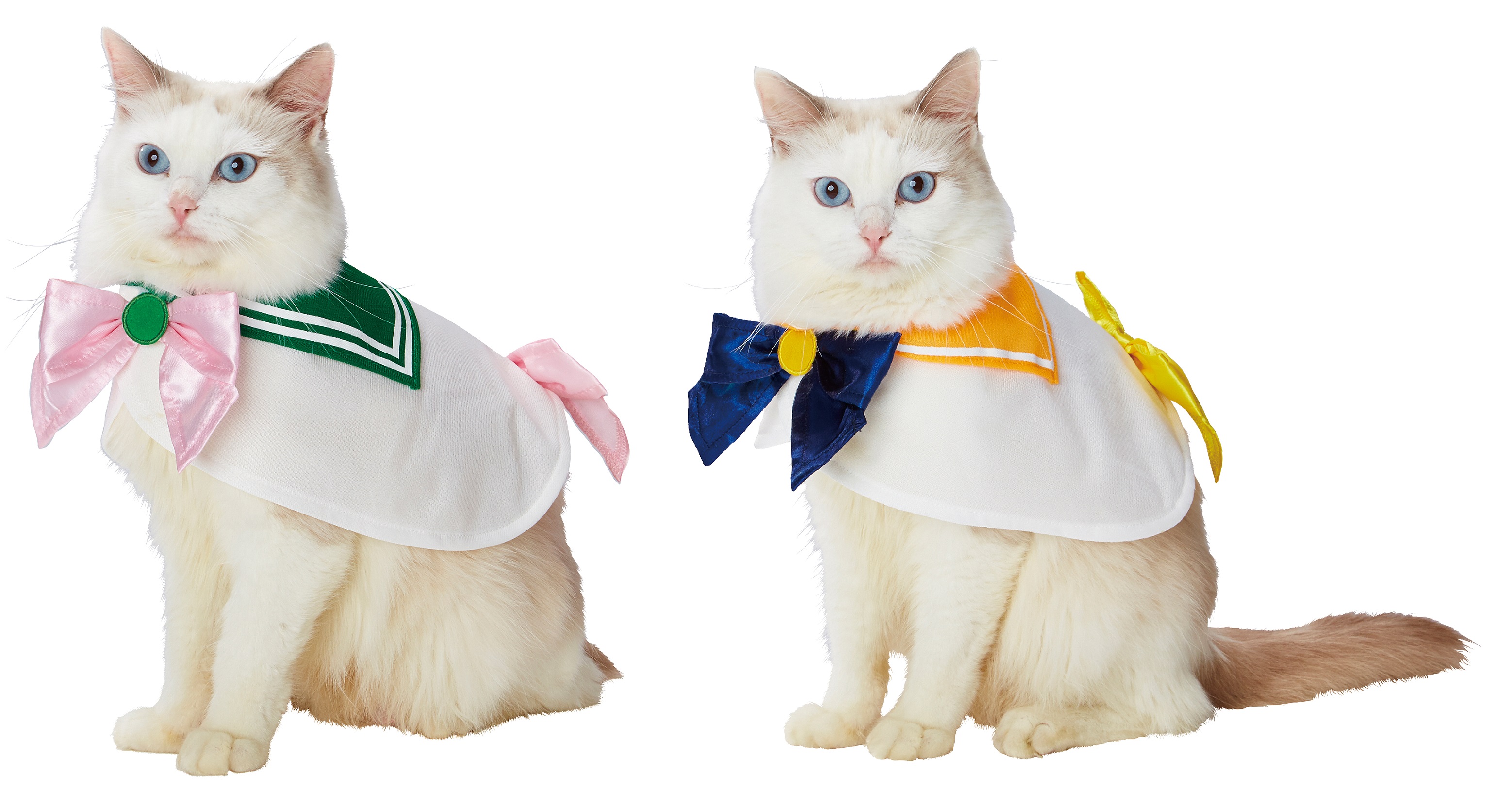 Talented Japanese Man Creates Anime Costumes For His Cats