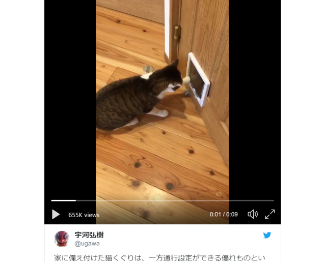 Your home office will never be safe from your cats, video from Japanese artist shows【Video】