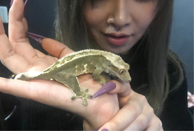 Drink like a fish, but with lizards and snakes, at Tokyo’s awesome reptile bar【Photos】