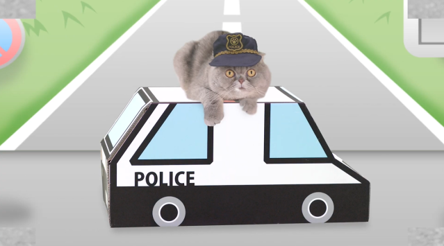 Japan now has a traffic safety video for cats to watch to help keep them  safe on the streets