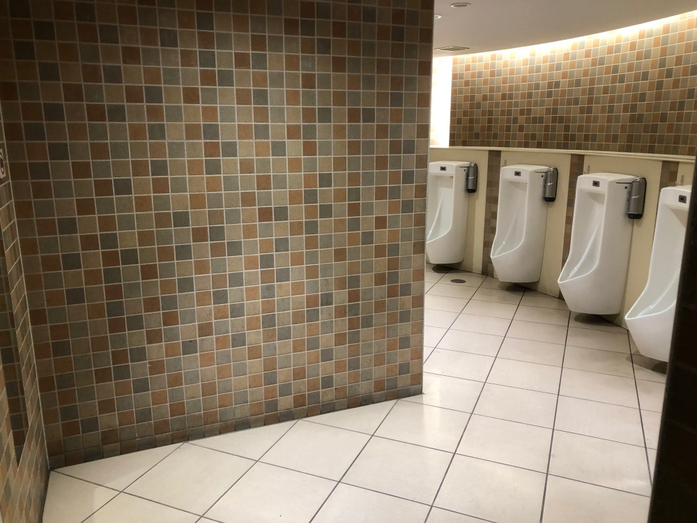 Pay-to-poop vs free poop: We compare Japanese toilets at Tokyo Station ...