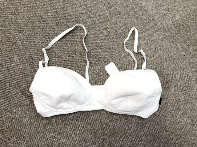 Everyone in the office wears a bra in search of the true meaning of Brassiere  Day