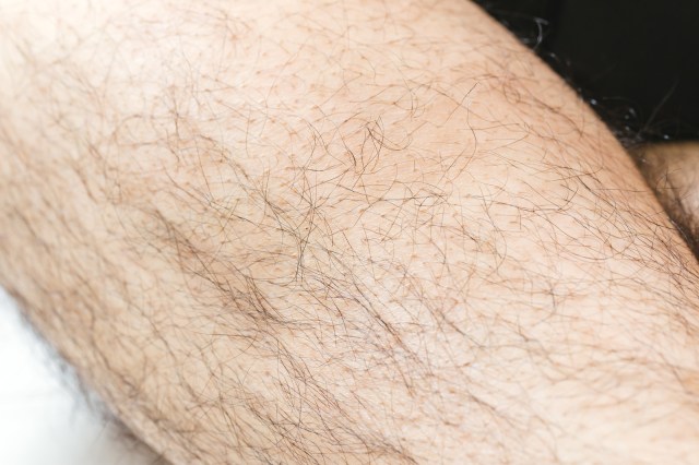 Japanese women want men to get rid of their body hair, according to a  recent survey | SoraNews24 -Japan News-