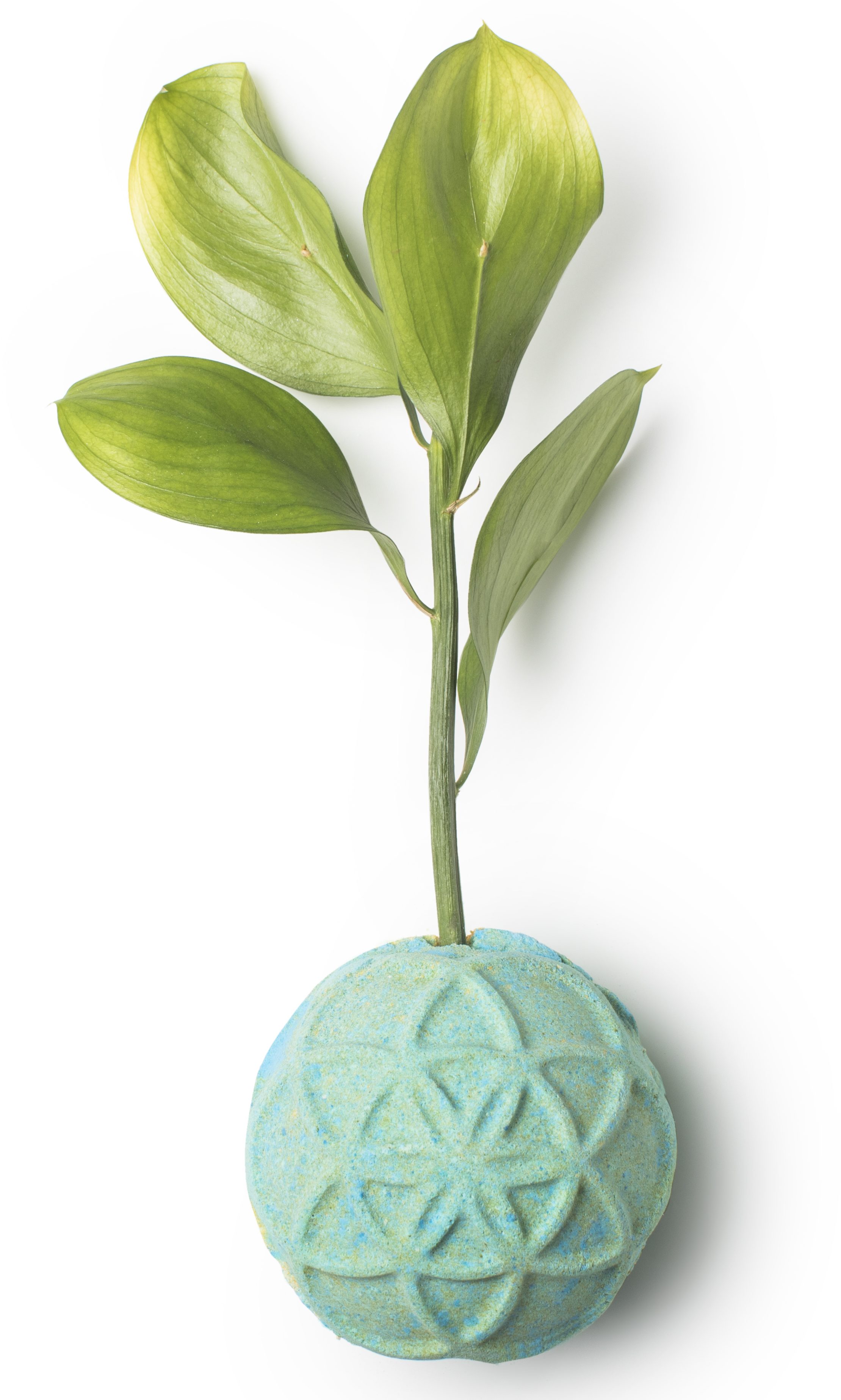 Lush Japanexclusive bath bombs from Harajuku store coming to stores