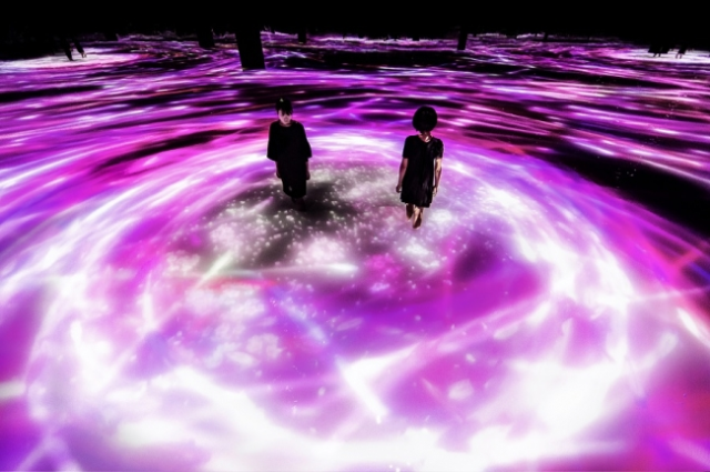 Amazing new Tokyo art exhibit lets you create cherry blossoms just by touching light【Video】